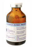 Lignocaine Injection